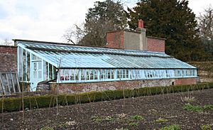 Down House, Downe, Kent, England -greenhouse-28March2009