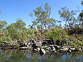 Elizabeth Creek, Mount Surprise, Queensland Australia