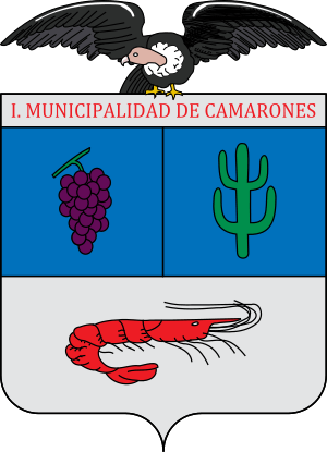 Escudo de Camarones (Chile)