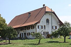 Farm Erli 2 Murten Aug 2011