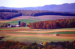 Farming near Klingerstown, Pennsylvania