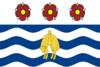 Flag of Napier.png