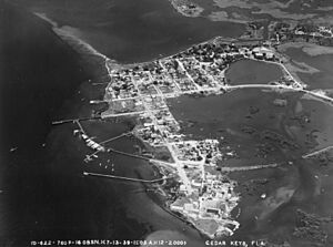 Florida - Brandenton through Clearwater - NARA - 23936569 (cropped)