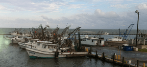 Fulton harbor fishing boats