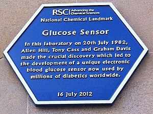 Glucose-sensor-plaque
