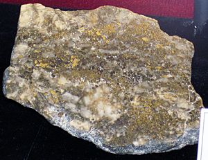 Gold & quartz (Jib Mine, Basin, Montana, USA) 2 (17182999341)