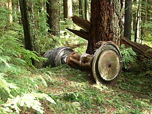Grouse-Mt-forest-big-iron-thing-3656