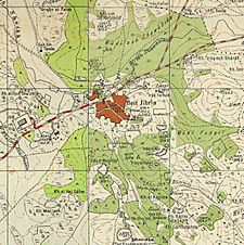 Historical map series for the area of Bayt Jibrin (1940s).jpg