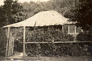 House on Iama Island (undated)