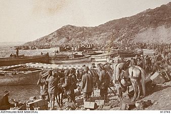 Indian and Anzac troops at Anzac Cove, 1915