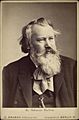 Johannes Brahms portrait