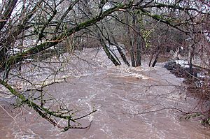 Johnson Creek 2009flood