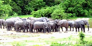 Kamuku National Park kaduna State Nigeria