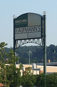 Kaufmanns2007