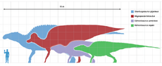 Largestornithopods scale