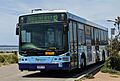 Merewether Beach bus, Newcastle, Australia (2)