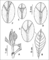 Mjournal fig6