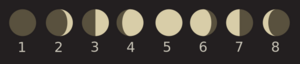 Moon Phases