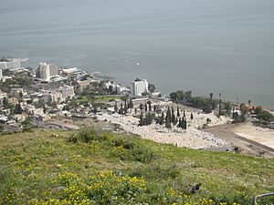Mount Berenice - OVEDC - 14