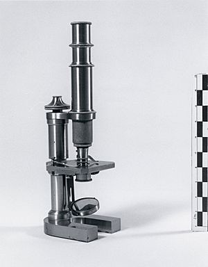 Nettie Stevens microscope (2)