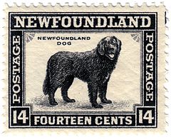 Newfoundlanddogstamp