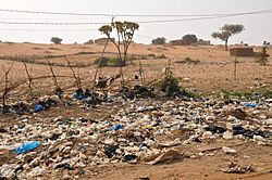 Niger, Karey Gorou, (7) waste disposal