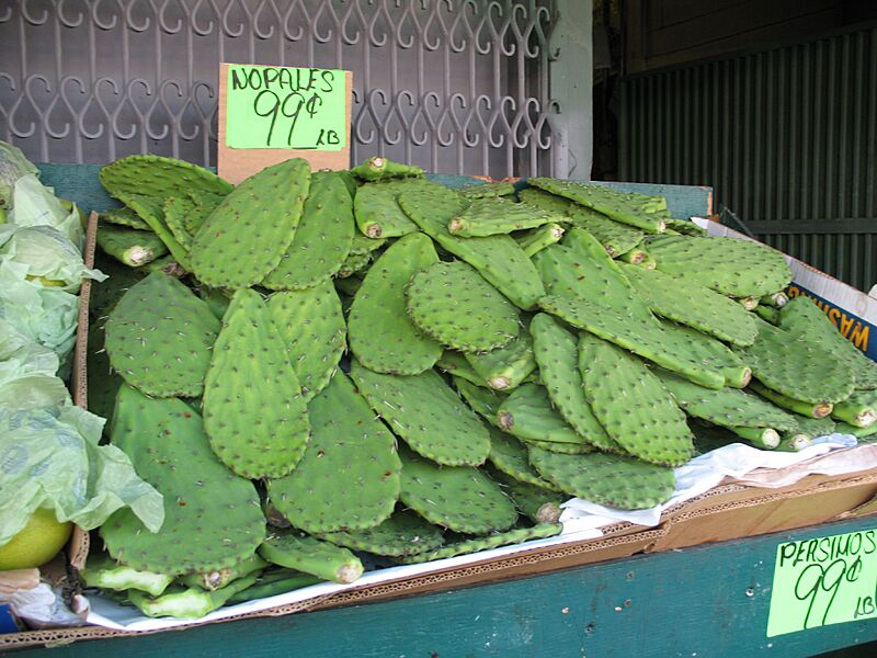Nopales alaventa