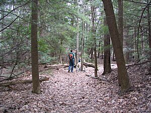 Ohiopyletrail