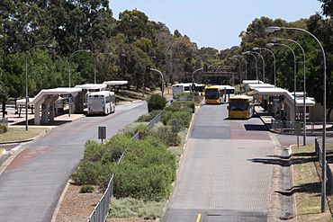 Paradise Interchange, O-Bahn Busway, Adelaide.jpg