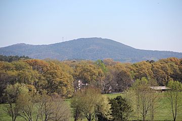 Pine Mountain seen from Mound A, April 2017.jpg