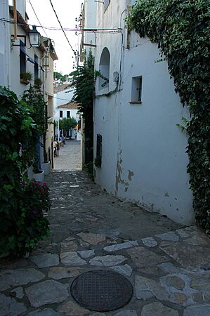 Port Bo carrer bofill i codina