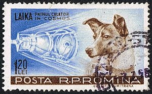 Posta Romana - 1959 - Laika 120 B
