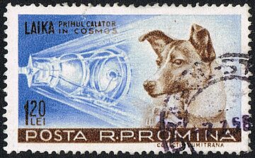 Posta Romana - 1959 - Laika 120 B