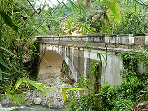Puente Blanco 1 - Utuado Puerto Rico
