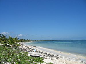 Punta Allen Beach