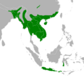 Python bivittatus Area