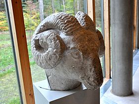 Ram's head. Limestone. From China, Tang Dynasty, 618-907 CE. The Burrell Collection, Glasgow, UK