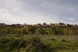 View of Roa de Duero, 2010