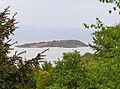 Rough Island from Tornat Wood - geograph.org.uk - 1305616