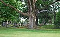 SalemWalkerCemeterySalemMIA