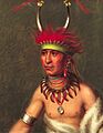 Shaumonekusse - Prairie Wolf - by Charles Bird King, c1822