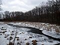 Snowy river in Pinckney