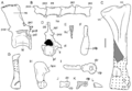Tasmaniosaurus misc. postcranial