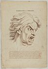 Terrour or Fright (from Heads Representing the Various Passions of the Soul; as they are Expressed in the Human Countenance- Drawn by that Great Master Monsieur Le Brun) MET DP854027