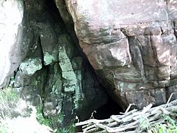 The Holy Cave's entrance from the north, Hawking Craig Wood, Hunterston, North Ayrshire.jpg