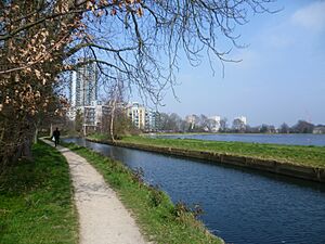 The New River by the Woodberry Down Estate
