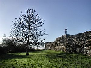 The wall of the Roman city of Calleva - geograph.org.uk - 39846