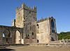 Tintern Abbey (Co. Wexford).jpg