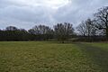 Top Field 2