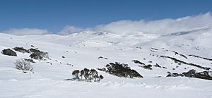 Towards Kosciuszko from Kangaroo Ridge in winter